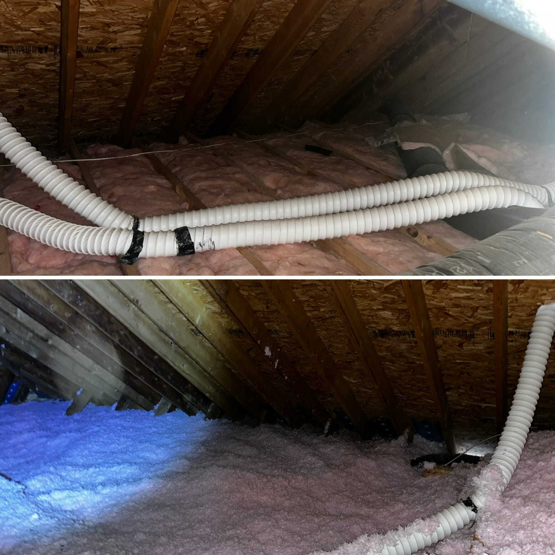 Insulation in Attic