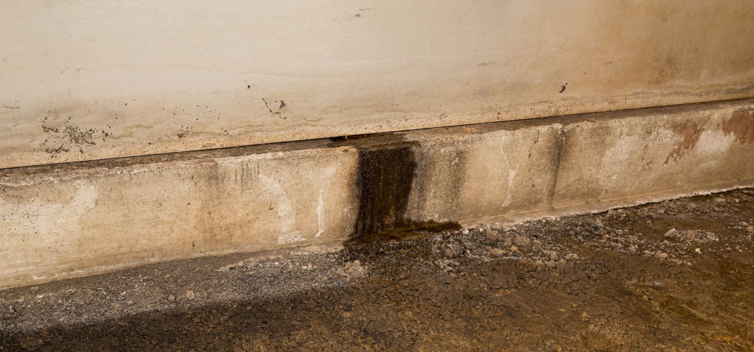 Crawl Space Moisture Solutions for Greenville, NC, Homes