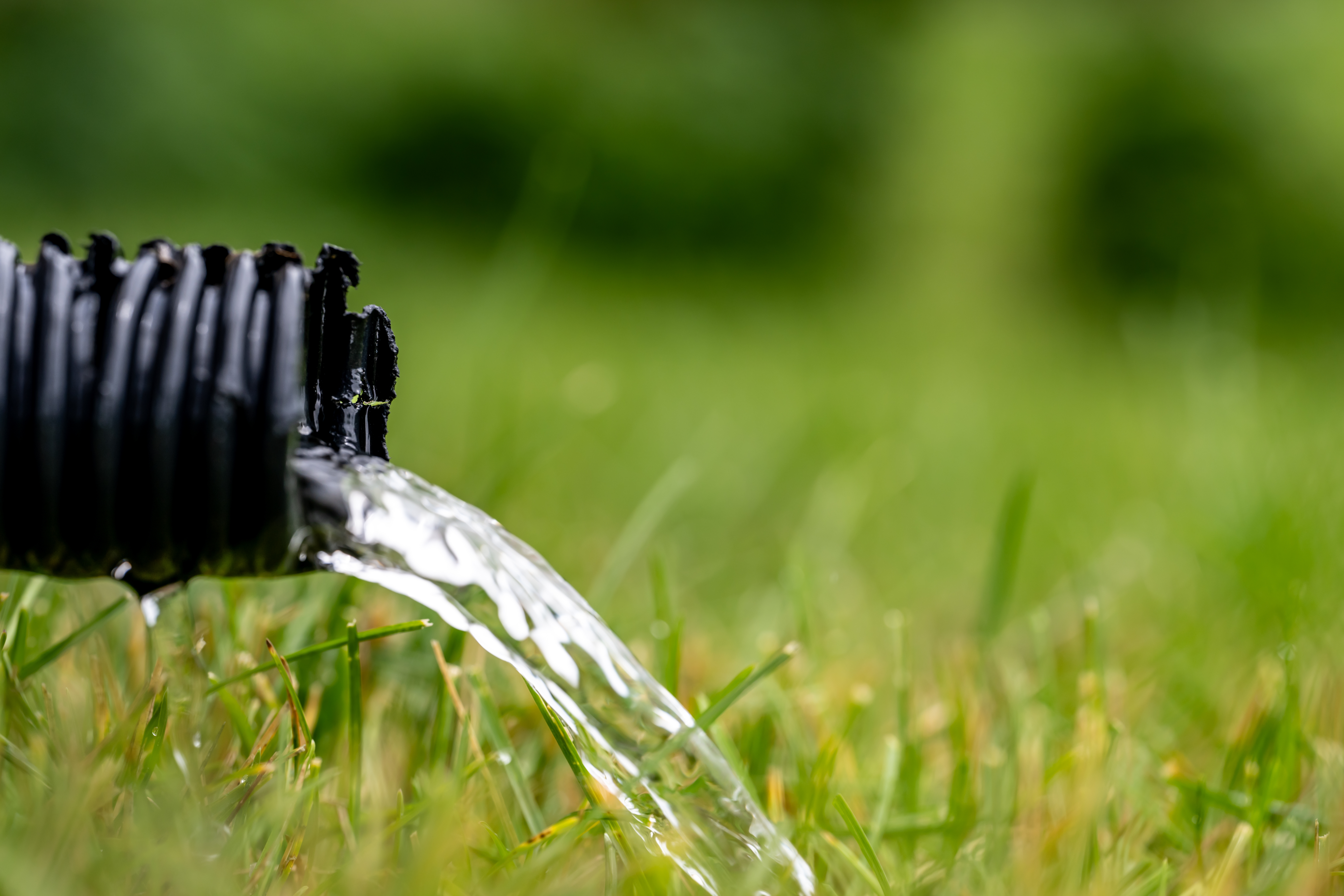 Residential sump pump drain line discharging water into grass yard after a rainstorm