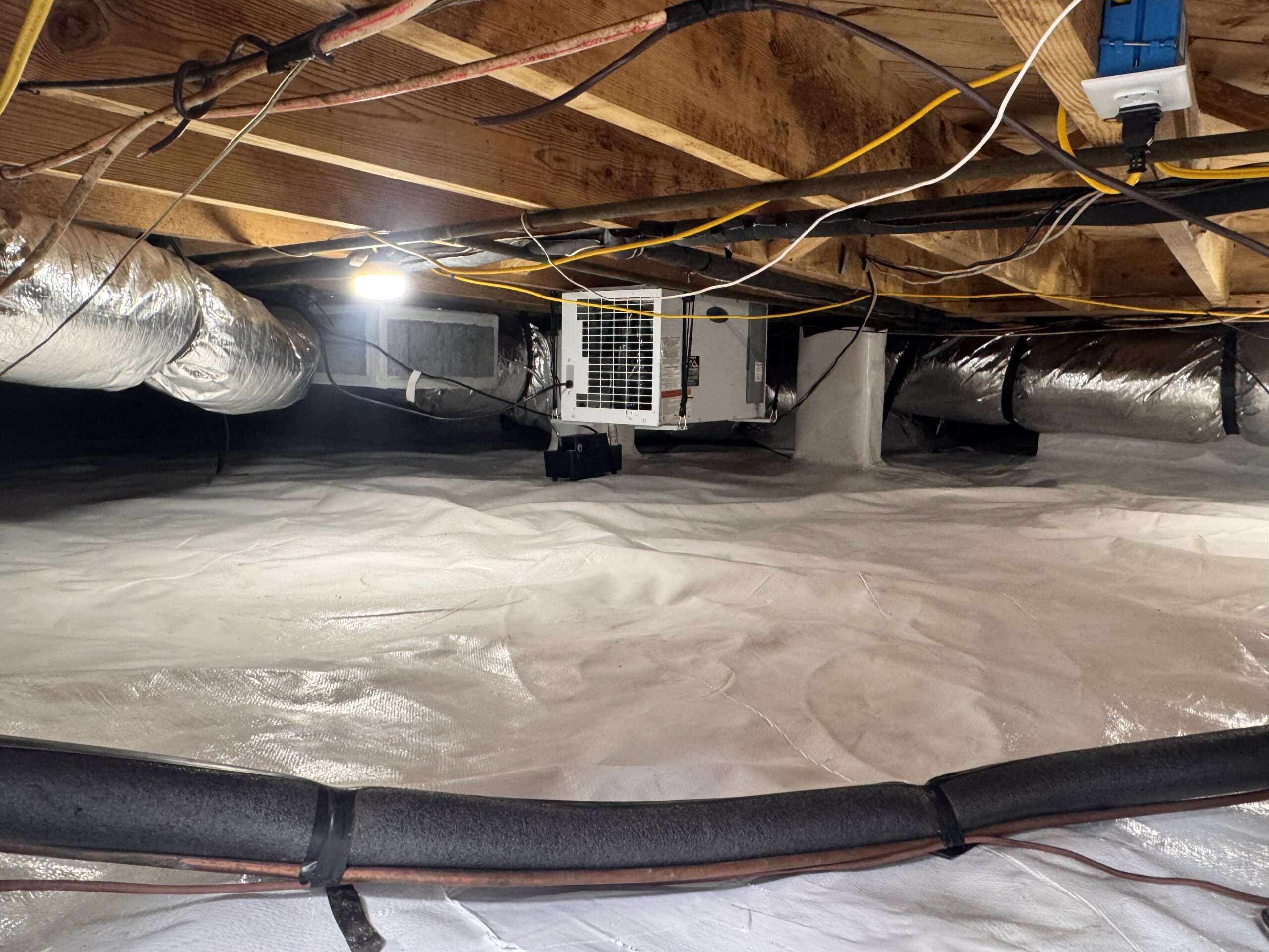 Why Your House Smells Musty (and Why the Crawl Space Is Often the Answer)