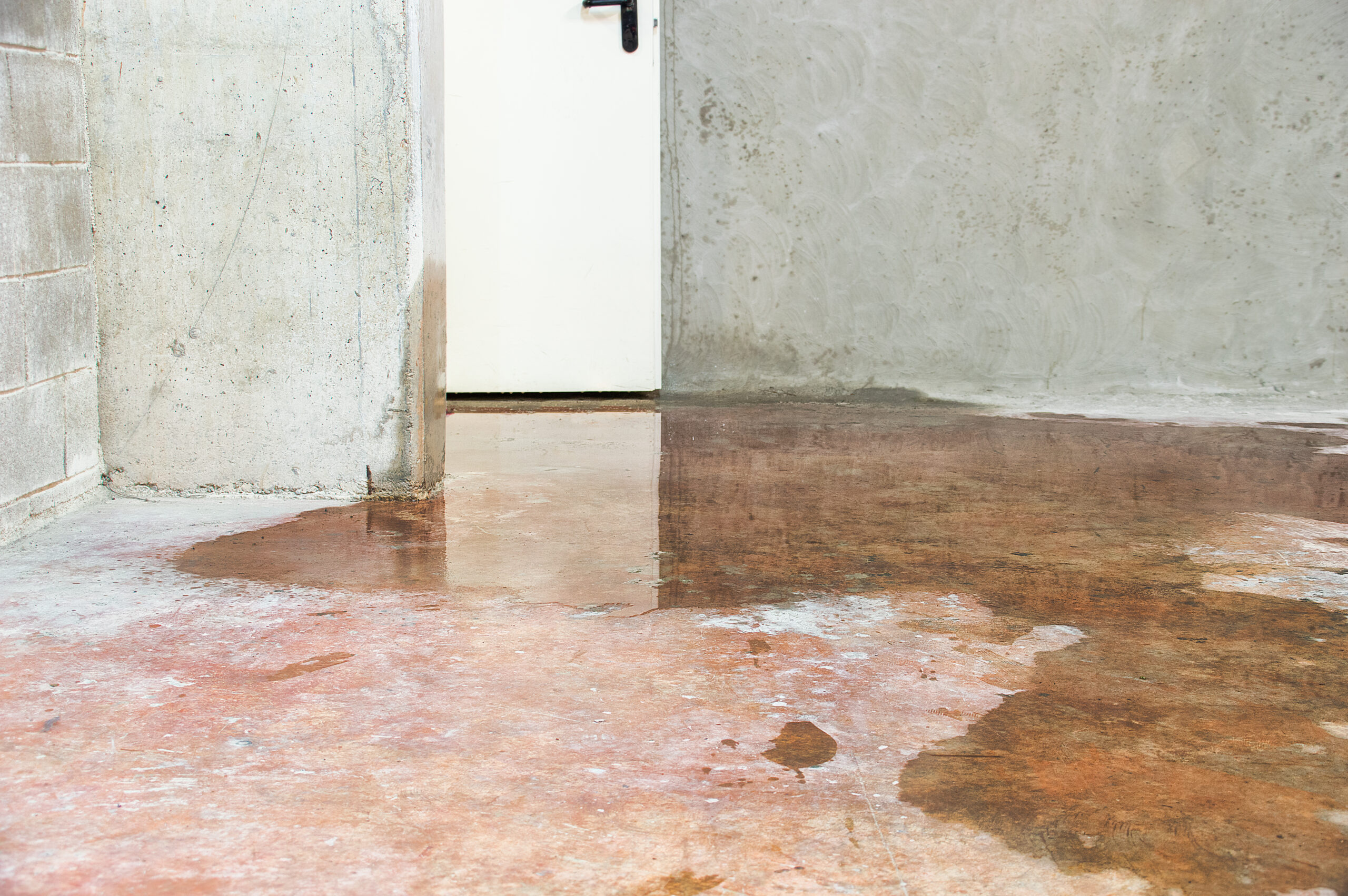 Wet basement with water pooling on the concrete floor near the foundation wall.