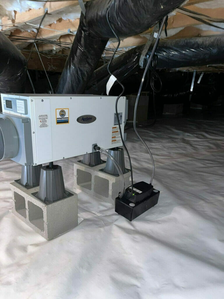 Dehumidifier installation in La Grange NC